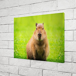 Холст прямоугольный Capybara on green grass, цвет: 3D-принт — фото 2