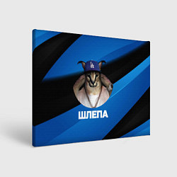 Холст прямоугольный Шлепа в бейсболке, цвет: 3D-принт