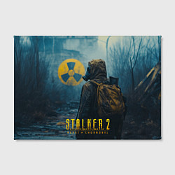 Холст прямоугольный Stalker 2 зараженная зона, цвет: 3D-принт — фото 2