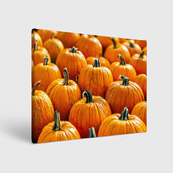 Картина прямоугольная Много тыкв