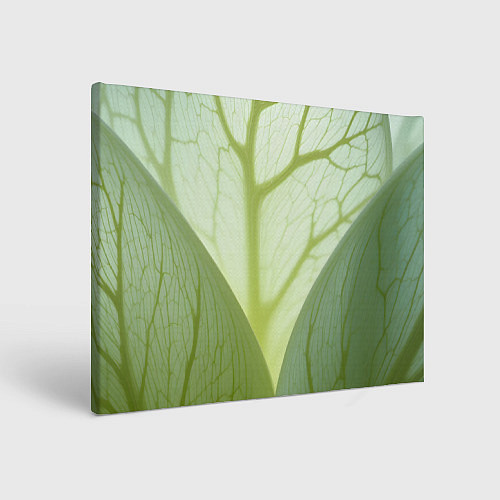 Картина прямоугольная Макро съемка листа / 3D-принт – фото 1