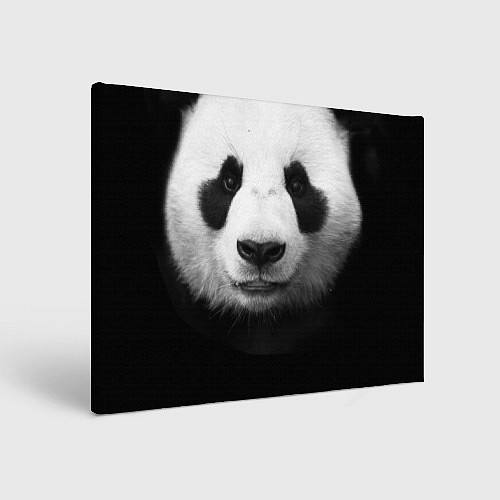 Картина прямоугольная Взгляд панды / 3D-принт – фото 1