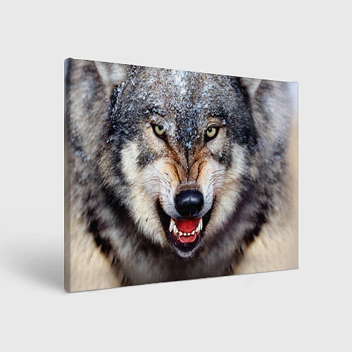 Картина прямоугольная Взгляд волка за 1540 ₽ купить в магазине ПлейПринт  (10069239502819)