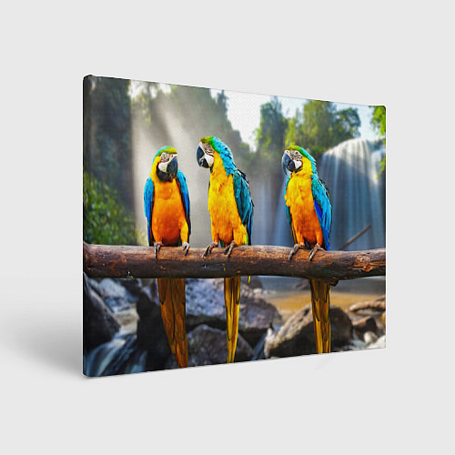 Картина прямоугольная Экзотические попугаи / 3D-принт – фото 1