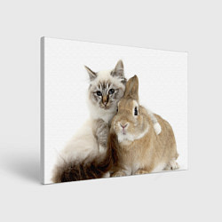 Холст прямоугольный Кот и кролик пушистые, цвет: 3D-принт