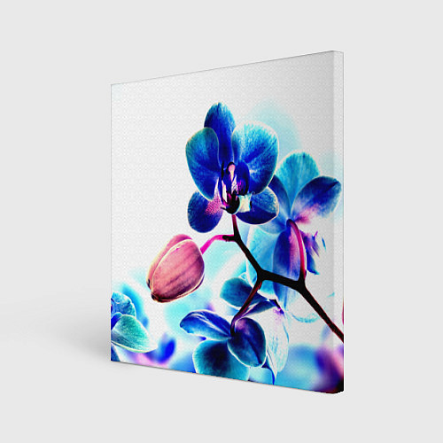 Картина квадратная Фиолетовая орхидея / 3D-принт – фото 1