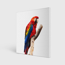 Картина квадратная Яркий попугай