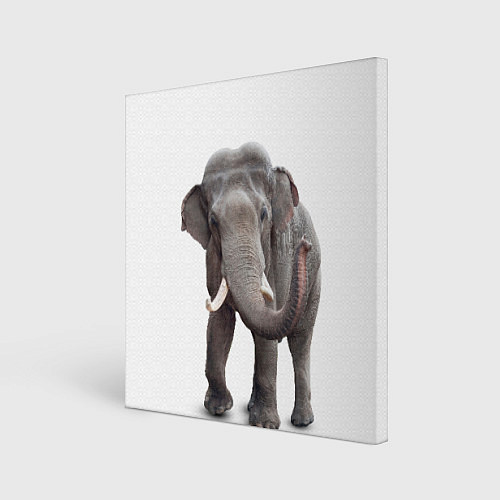 Картина квадратная Большой слон / 3D-принт – фото 1
