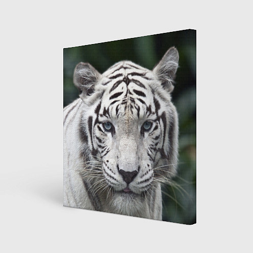 Картина квадратная Белый тигр / 3D-принт – фото 1