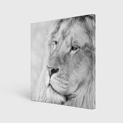 Картина квадратная Мудрый лев