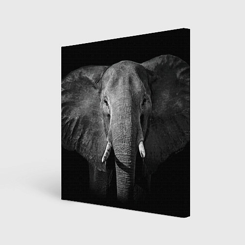 Картина квадратная Взгляд слона / 3D-принт – фото 1