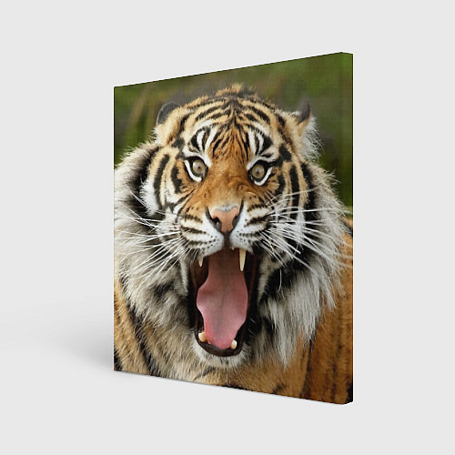 Картина квадратная Удивленный тигр / 3D-принт – фото 1