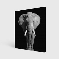 Холст квадратный Старый слон, цвет: 3D-принт