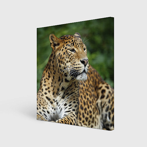 Картина квадратная Лик леопарда / 3D-принт – фото 1