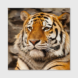 Холст квадратный Мудрый тигр, цвет: 3D-принт — фото 2