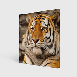 Картина квадратная Мудрый тигр