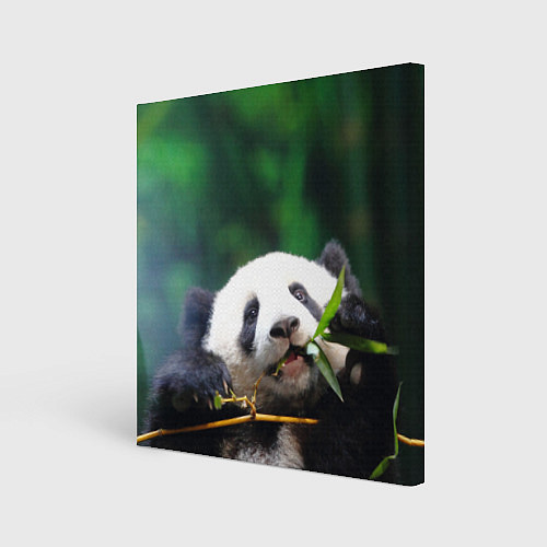 Картина квадратная Панда на ветке / 3D-принт – фото 1