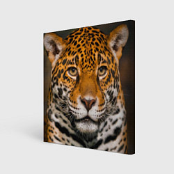 Картина квадратная Взгляд ягуара