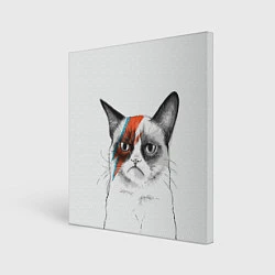 Картина квадратная David Bowie: Grumpy cat