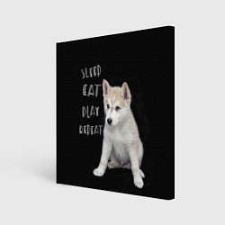 Картина квадратная Sleep Eat Play Repeat Хаски щенок