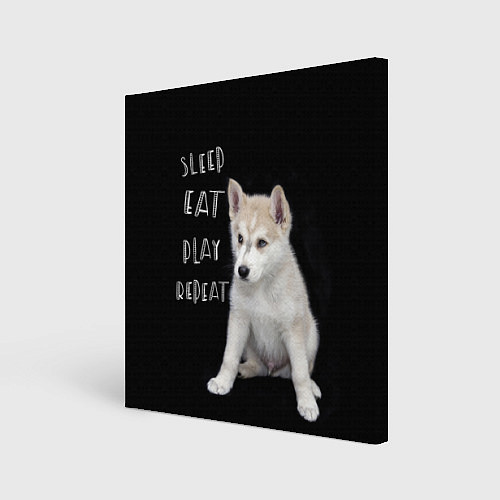 Картина квадратная Sleep Eat Play Repeat Хаски щенок / 3D-принт – фото 1