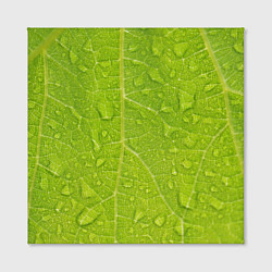 Холст квадратный Листок с росой, цвет: 3D-принт — фото 2