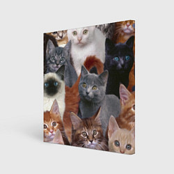 Холст квадратный КОТЯТКИ, цвет: 3D-принт