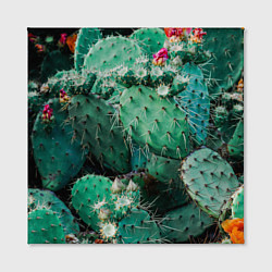 Холст квадратный Кактусы с цветами реализм, цвет: 3D-принт — фото 2