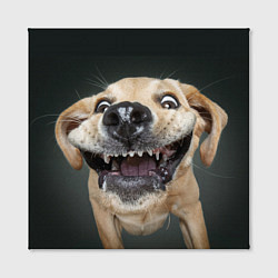 Холст квадратный Улыбающаяся Собака, цвет: 3D-принт — фото 2