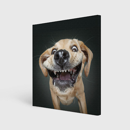 Картина квадратная Улыбающаяся Собака / 3D-принт – фото 1