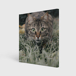 Холст квадратный Кошка, цвет: 3D-принт
