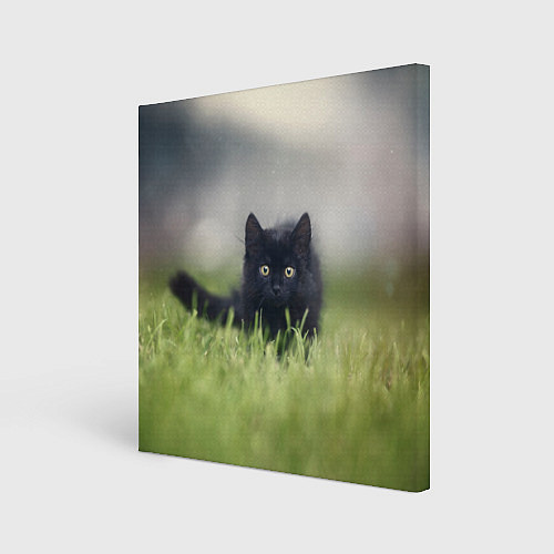 Картина квадратная Черный кот на лугу / 3D-принт – фото 1