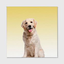 Холст квадратный Лабрадор ретривер пес, цвет: 3D-принт — фото 2