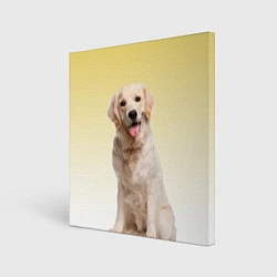 Холст квадратный Лабрадор ретривер пес, цвет: 3D-принт