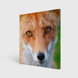 Картина квадратная Крупно мордочка лисы
