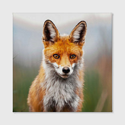 Холст квадратный Рыжая лисица, цвет: 3D-принт — фото 2
