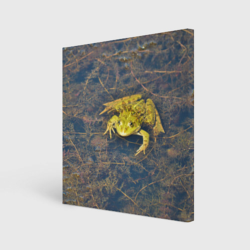 Картина квадратная Лягушка / 3D-принт – фото 1