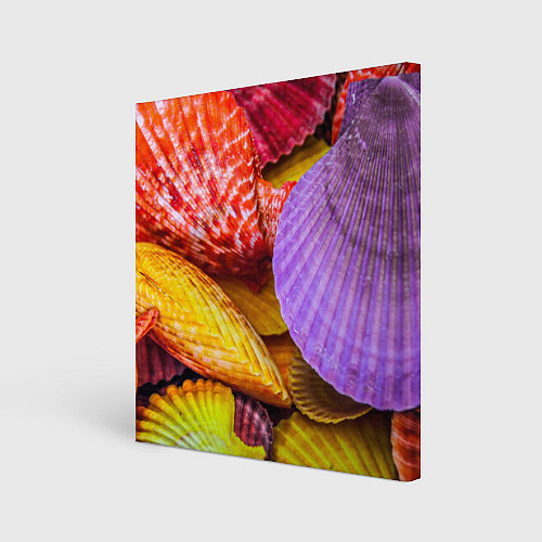 Картина квадратная Разноцветные ракушки multicolored seashells / 3D-принт – фото 1