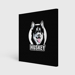 Картина квадратная Собака Хаски Husky