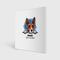 Картина квадратная Собака Басенджи