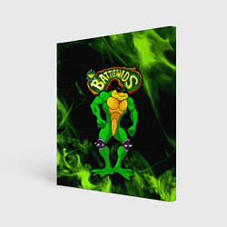 Холст квадратный Battletoads Rash, цвет: 3D-принт