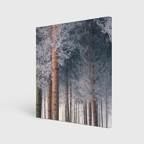 Картина квадратная Зимний еловый лес / 3D-принт – фото 1