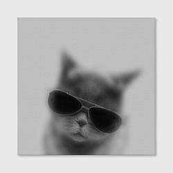 Холст квадратный Крутой кот в очках в тумане, цвет: 3D-принт — фото 2