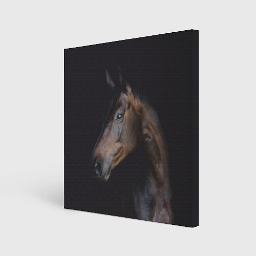 Картина квадратная Лошадь Благородство / 3D-принт – фото 1
