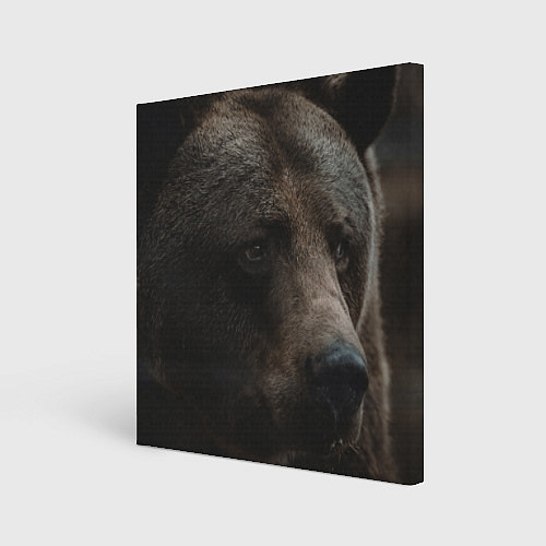 Картина квадратная Медведь / 3D-принт – фото 1