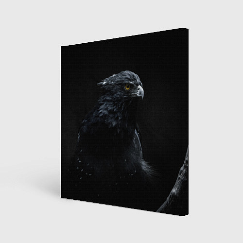 Картина квадратная Тёмный орёл / 3D-принт – фото 1