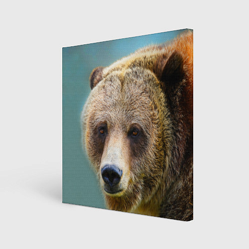 Картина квадратная Русский бурый медведь / 3D-принт – фото 1