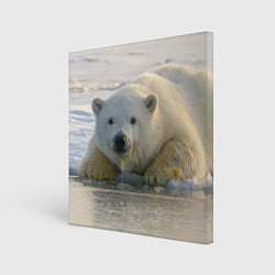Холст квадратный Белый медведь ожидает, цвет: 3D-принт