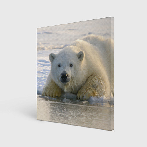 Картина квадратная Белый медведь ожидает / 3D-принт – фото 1