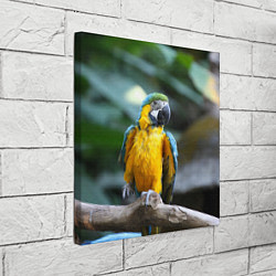 Холст квадратный Красавец попугай, цвет: 3D-принт — фото 2